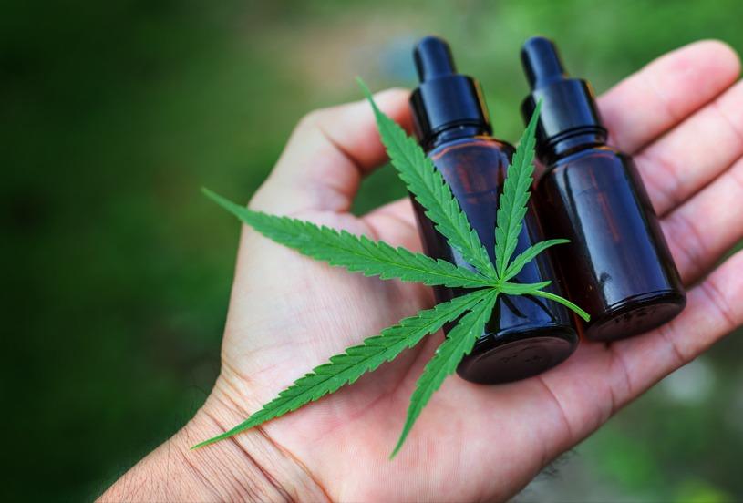 Audiência pública na segunda-feira discute uso e a aplicação medicinal do Canabidiol.