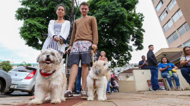 SUBEA REALIZA PRIMEIRO PLANTÃO DE CASTRAÇÃO COM 150 VAGAS PARA CÃES E GATOS.