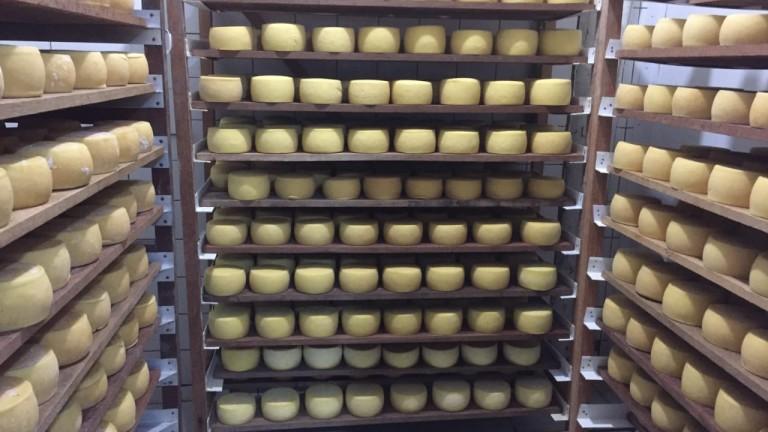 PREFEITURA REALIZA HOJE FESTA DO QUEIJO EM ROCHEDINHO. PREFEITURA REALIZA HOJE FESTA DO QUEIJO EM ROCHEDINHO.