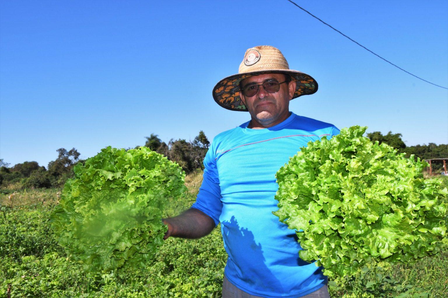 APOIO DA PREFEITURA TRANSFORMA COMUNIDADE QUILOMBOLA EM CELEIRO DE PRODUÇÃO.