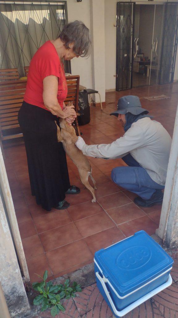 Dia Mundial das Zoonoses: saiba o que são e como evitá-las.