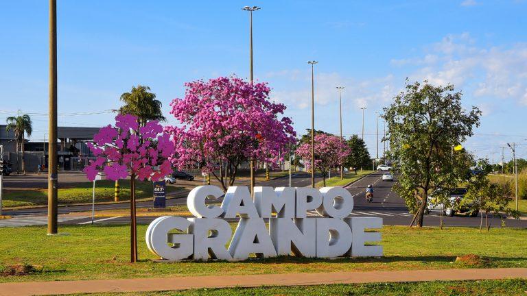 CIDADE ÁRVORE DO MUNDO, CAMPO GRANDE GANHA UM COLORIDO ESPECIAL COM A FLORADA DOS IPÊS.