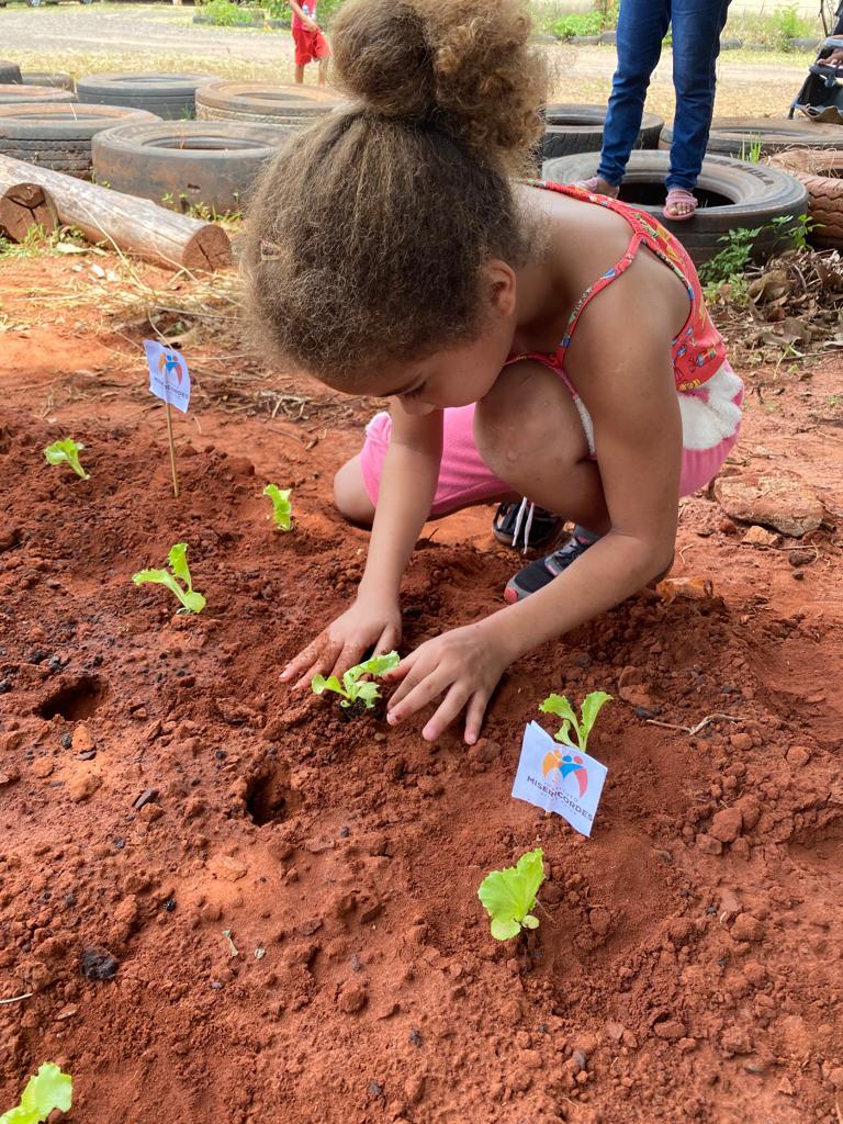 Doação de mudas garante verduras fresquinhas na alimentação do Instituto Misericordes.