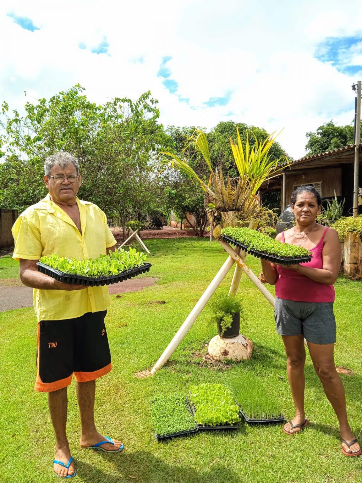 Doação de mudas garante verduras fresquinhas na alimentação do Instituto Misericordes.