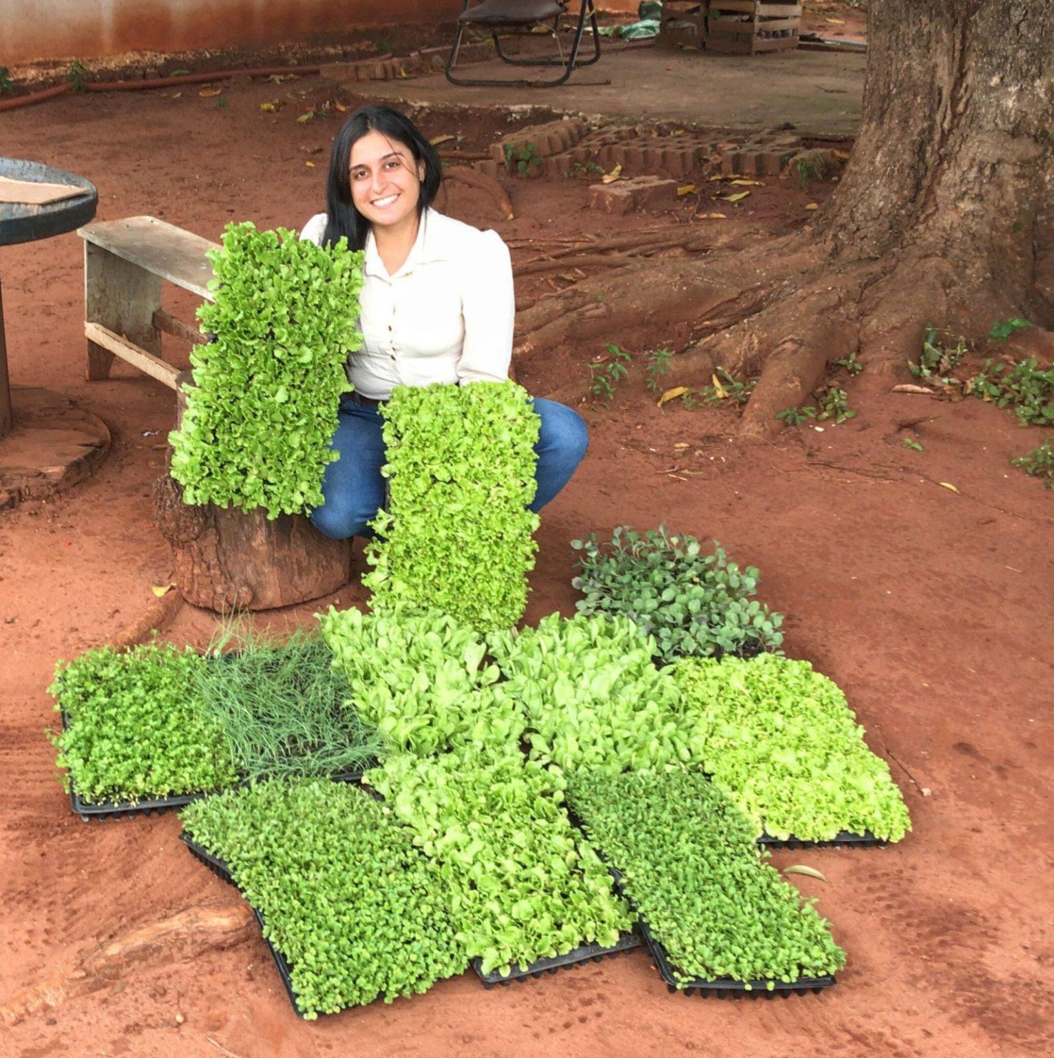 Doação de mudas garante verduras fresquinhas na alimentação do Instituto Misericordes.