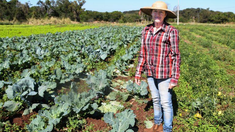 APOIO DA PREFEITURA TRANSFORMA COMUNIDADE QUILOMBOLA EM CELEIRO DE PRODUÇÃO.