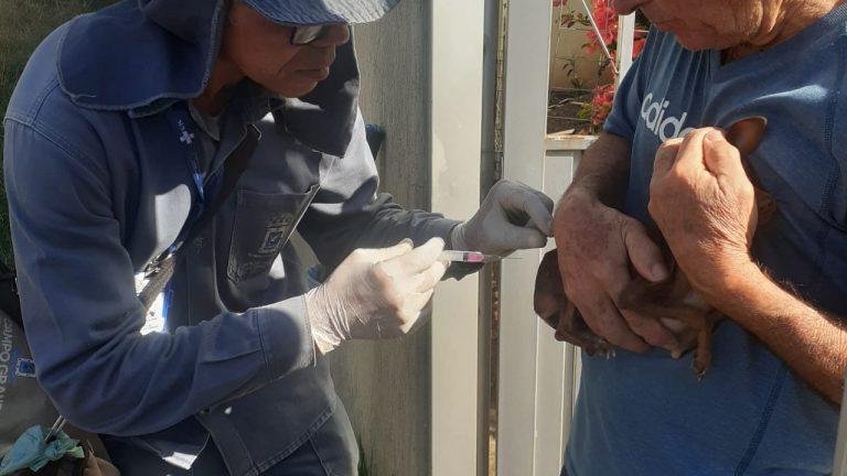 Dia Mundial das Zoonoses: saiba o que são e como evitá-las.