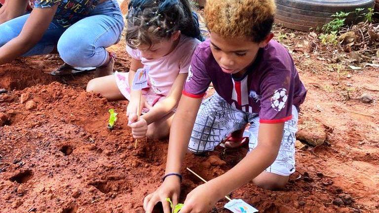 Doação de mudas garante verduras fresquinhas na alimentação do Instituto Misericordes.