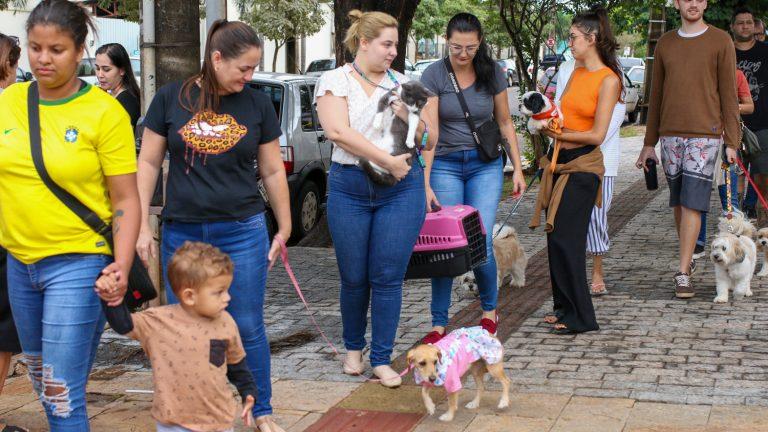PREFEITURA REALIZA MAIS DE 8 MIL ATENDIMENTOS EM PETS NO PRIMEIRO SEMESTRE DE 2023.