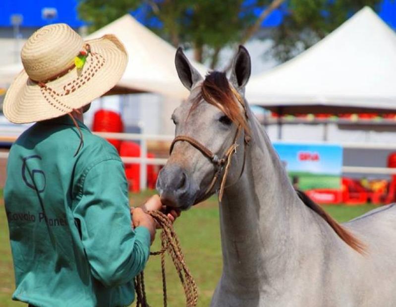 Com apoio da Prefeitura, cavalgada será recebida no Paço Municipal no dia 1º de setembro.