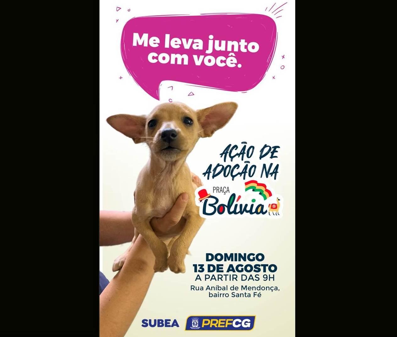 Prefeitura realiza ação de adoção de cães e gatos na Praça Bolívia neste domingo.