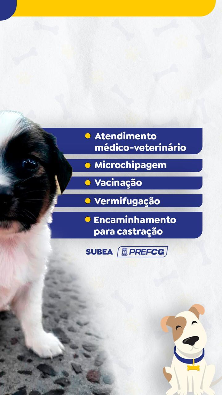 Prefeitura realiza no sábado o Programa Subea Itinerante na região do Aero Rancho. Prefeitura realiza no sábado o Programa Subea Itinerante na região do Aero Rancho.