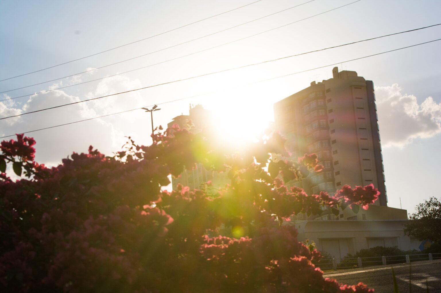 Equipes da SAS orientam população em situação de rua sobre perigos das altas temperaturas e reforçam oferta dos serviços de acolhimento.