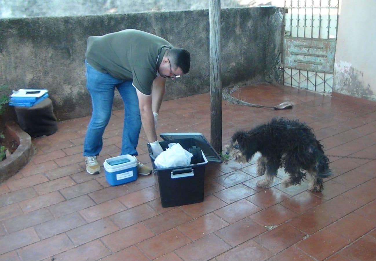 Prefeitura realiza serviço de monitoramento em bem-estar animal no Imbirussu.