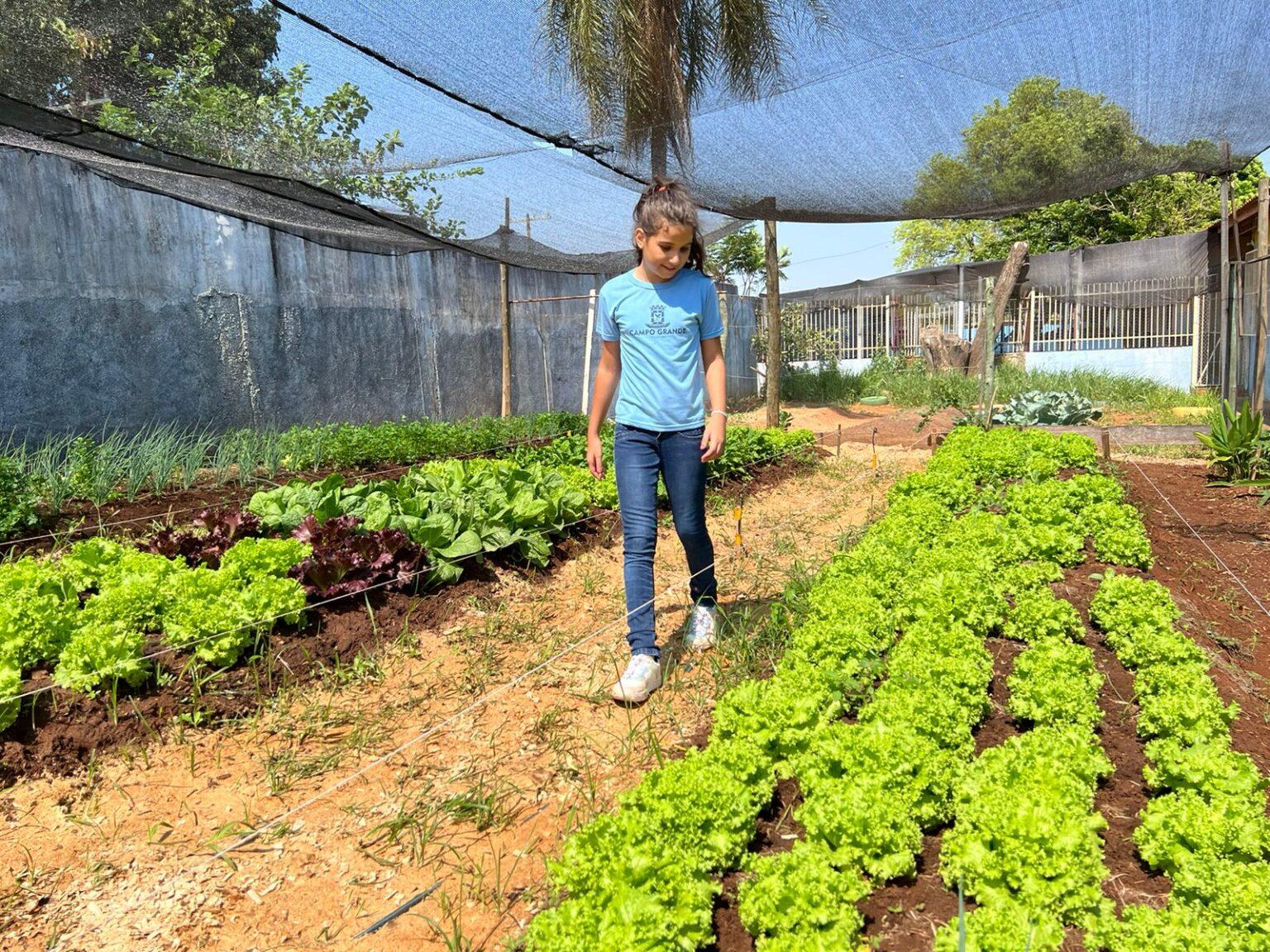 Alunos da E.M Professor Aldo de Queiroz realizam colheita de mais uma horta comunitária do Projeto FAC Sustentável. Alunos da E.M Professor Aldo de Queiroz realizam colheita de mais uma horta comunitária do Projeto FAC Sustentável.