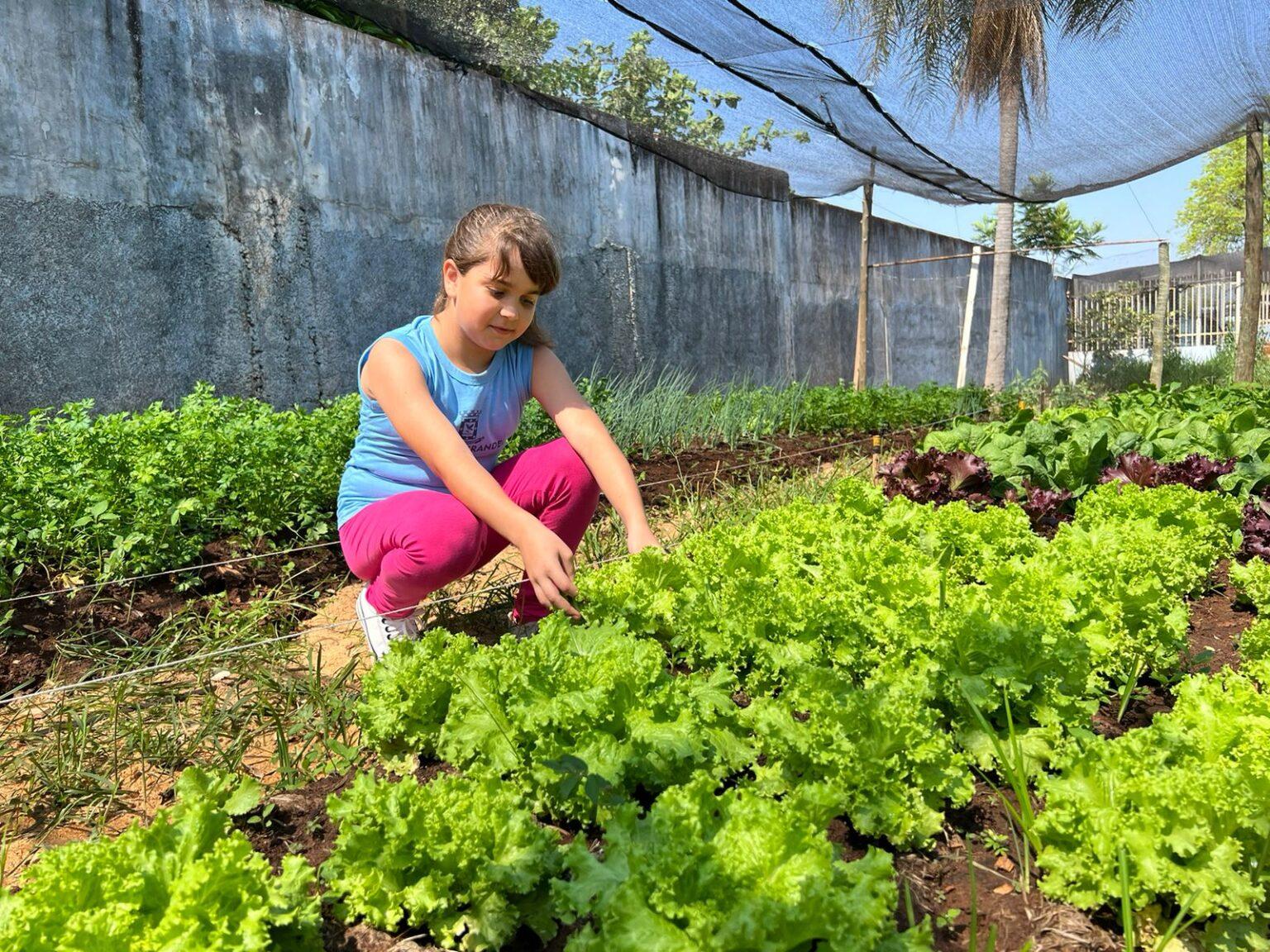Alunos da E.M Professor Aldo de Queiroz realizam colheita de mais uma horta comunitária do Projeto FAC Sustentável.