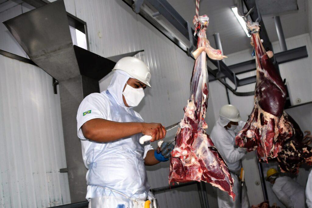 Maior produtor de avestruz fora da África tem frigorífico em Campo Grande e vende para todo país. Maior produtor de avestruz fora da África tem frigorífico em Campo Grande e vende para todo país.