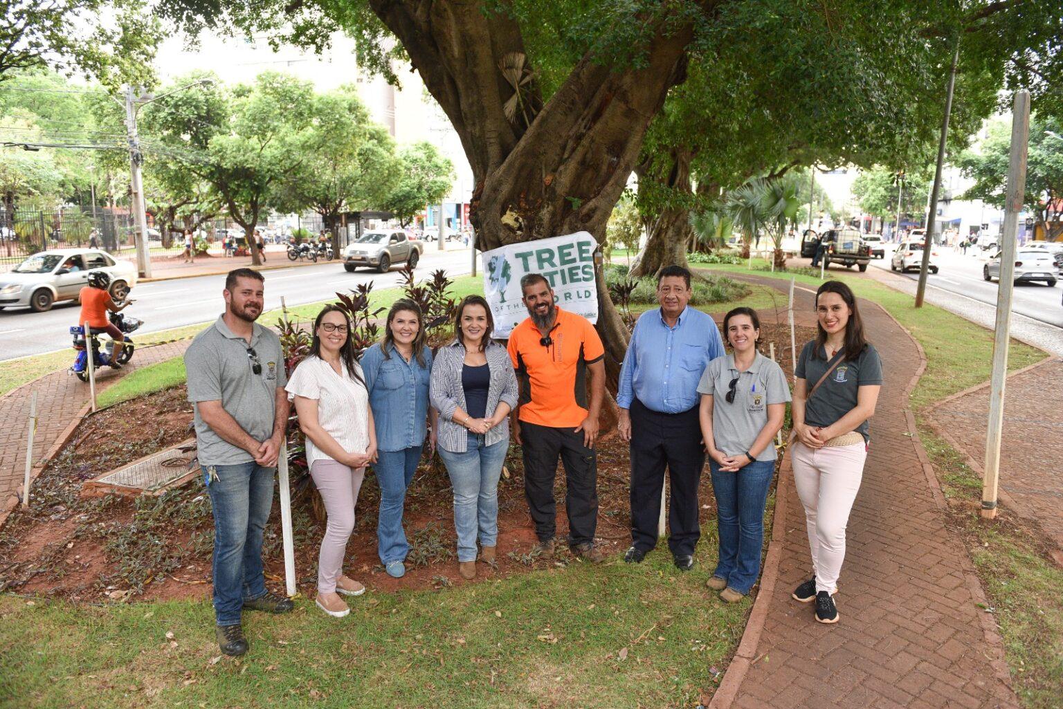 Pioneira na prática fitossanitária das árvores, Prefeitura realiza nova etapa de tratamentos em Campo Grande.