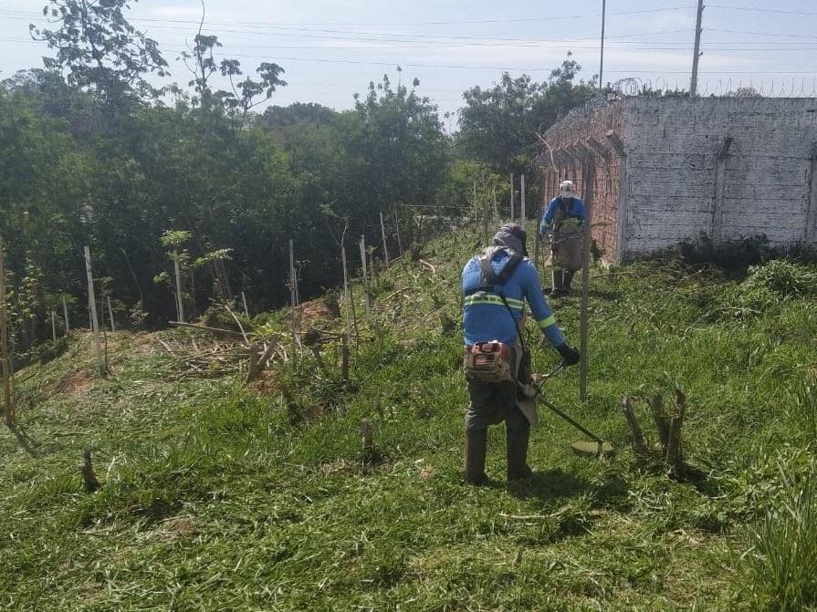 Destaque no Centro-Oeste em desenvolvimento sustentável, Campo Grande mantém 17 mil metros quadrados de reflorestamento. Destaque no Centro-Oeste em desenvolvimento sustentável, Campo Grande mantém 17 mil metros quadrados de reflorestamento.