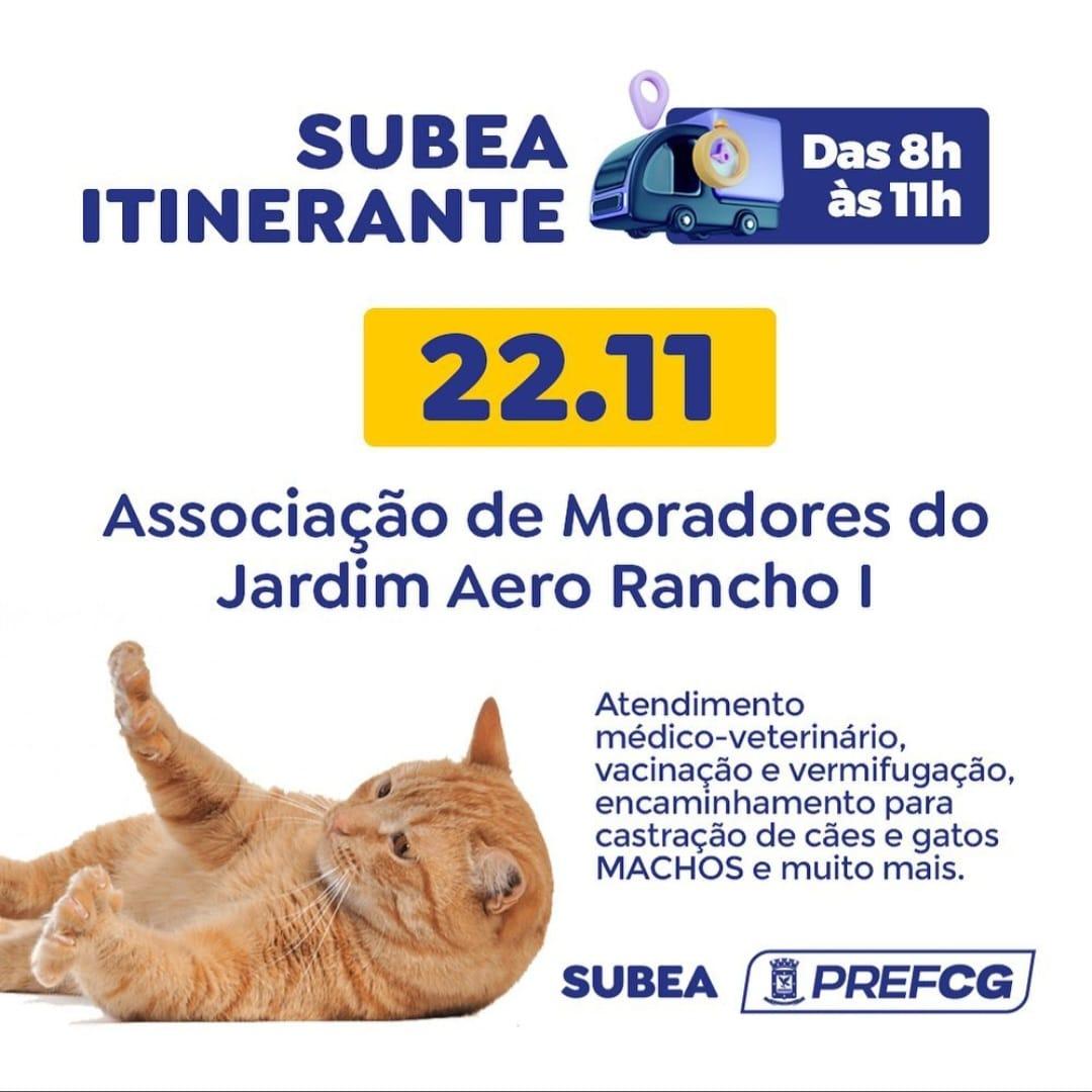 Novembro Azul Pet: Subea leva atendimento veterinário itinerante para animais machos Jardim Aero Rancho.