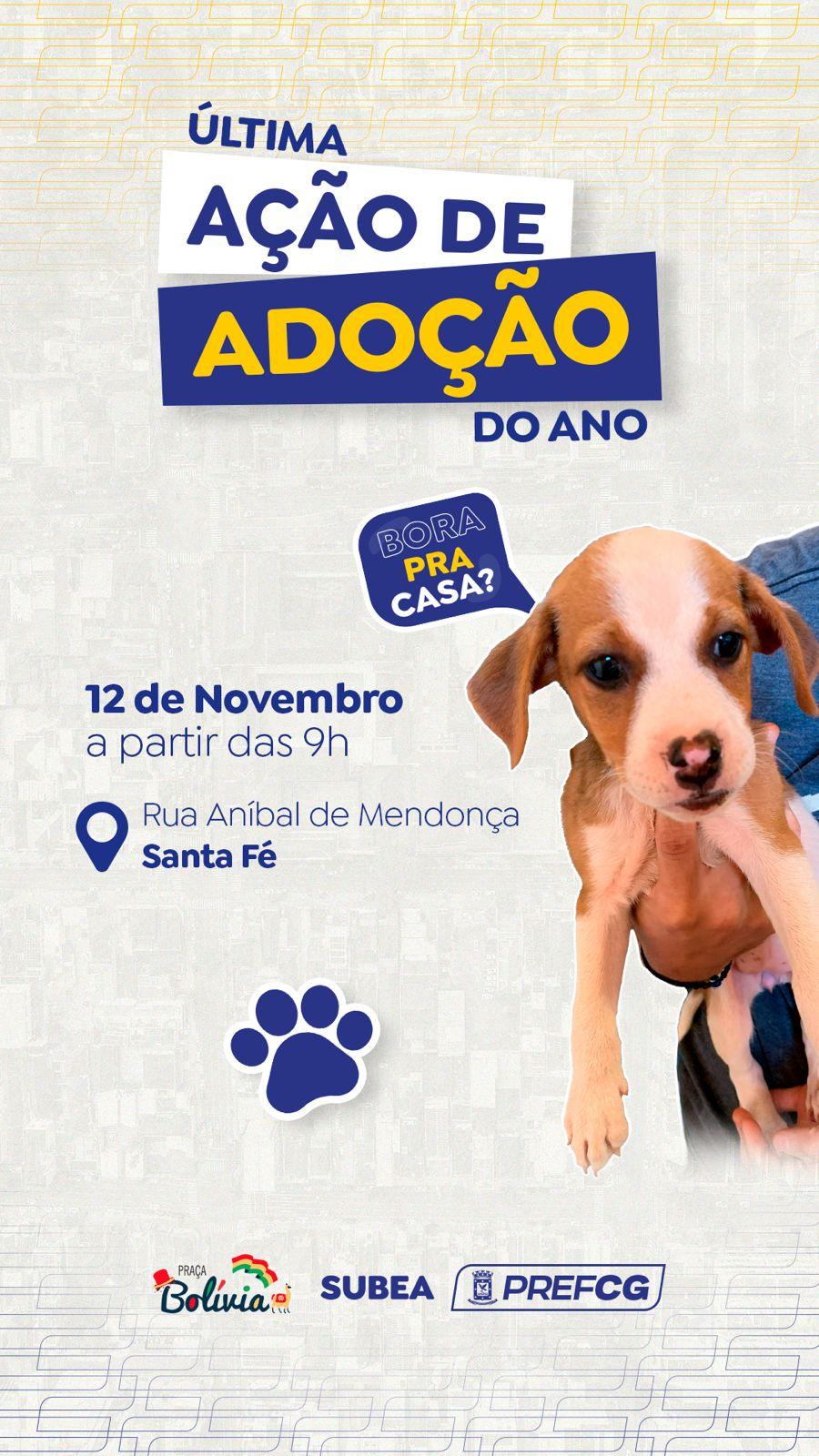 Prefeitura realiza feira de adoção de pets neste domingo.