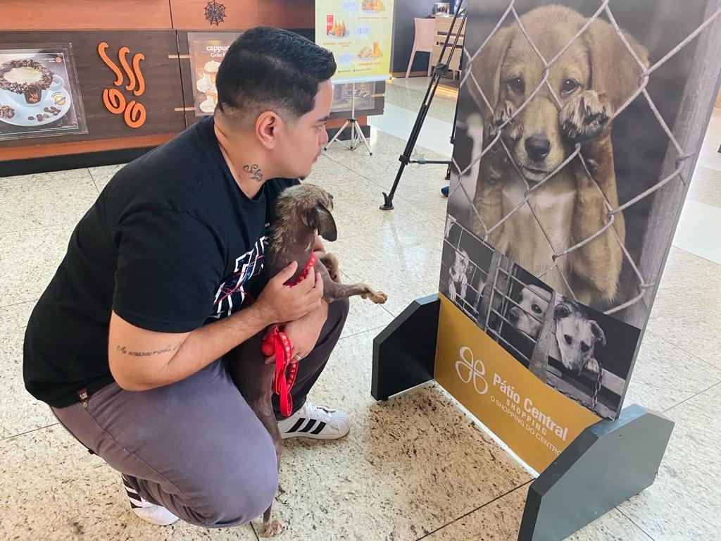 Inédito no Estado, programa MS Vida Animal lança Caravana da Castração na quarta-feira. Inédito no Estado, programa MS Vida Animal lança Caravana da Castração na quarta-feira.
