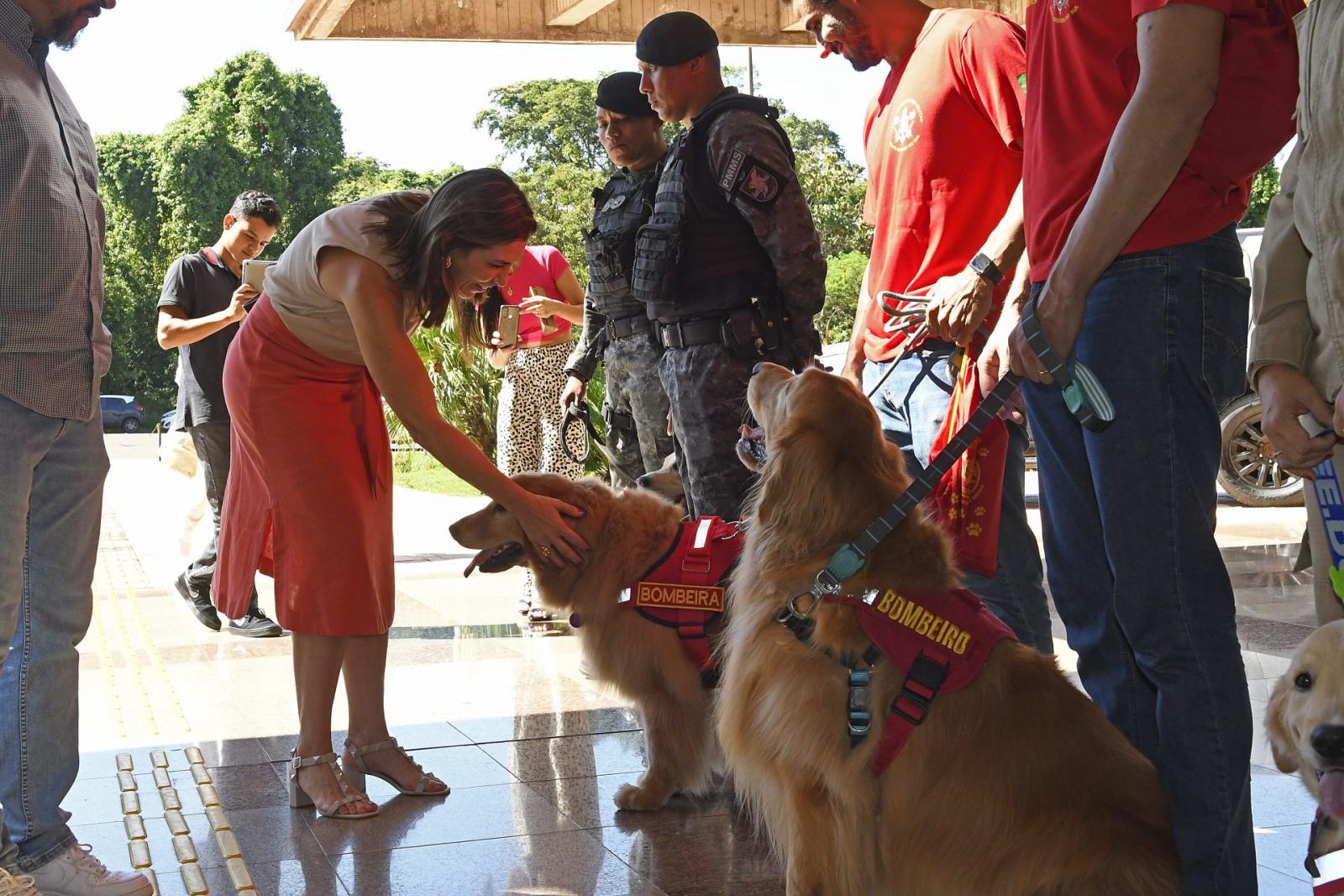 Na vanguarda, MS agora tem programa de castração e 1º plano para defesa e proteção da vida animal. Na vanguarda, MS agora tem programa de castração e 1º plano para defesa e proteção da vida animal.