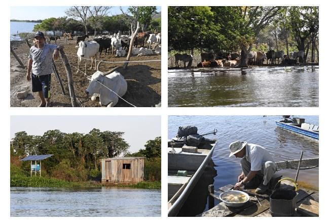 Assembleia aprova redação final da Lei do Pantanal e projeto é encaminhado para sanção do Governo. Assembleia aprova redação final da Lei do Pantanal e projeto é encaminhado para sanção do Governo.