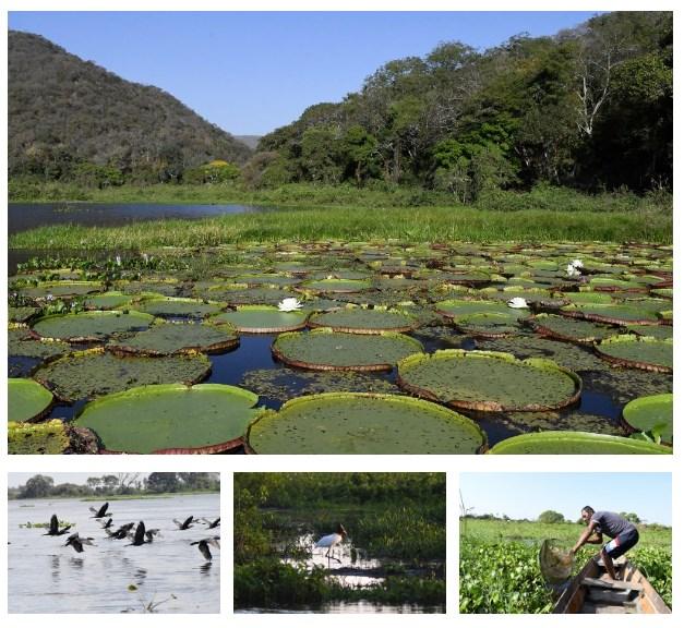 Assembleia aprova redação final da Lei do Pantanal e projeto é encaminhado para sanção do Governo. Assembleia aprova redação final da Lei do Pantanal e projeto é encaminhado para sanção do Governo.