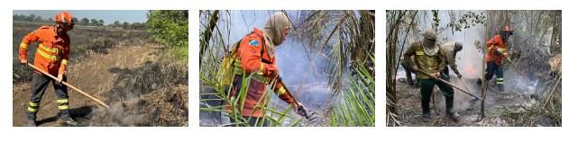 Governo do Estado mantém combate a incêndios no Pantanal com apoio de tecnologia e equipamentos. Governo do Estado mantém combate a incêndios no Pantanal com apoio de tecnologia e equipamentos.