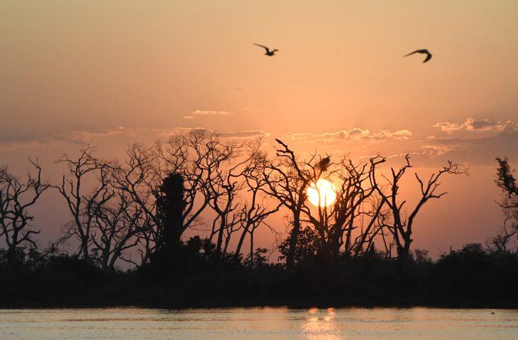 Nesta sexta-feira, sol retorna ao MS mas probabilidade de chuvas não deixa o estado. Nesta sexta-feira, sol retorna ao MS mas probabilidade de chuvas não deixa o estado.
