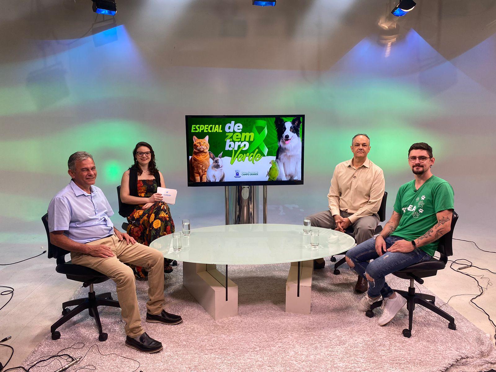 Programa esclarece sobre a guarda responsável dos animais e faz alerta sobre abandono de cães e gatos.