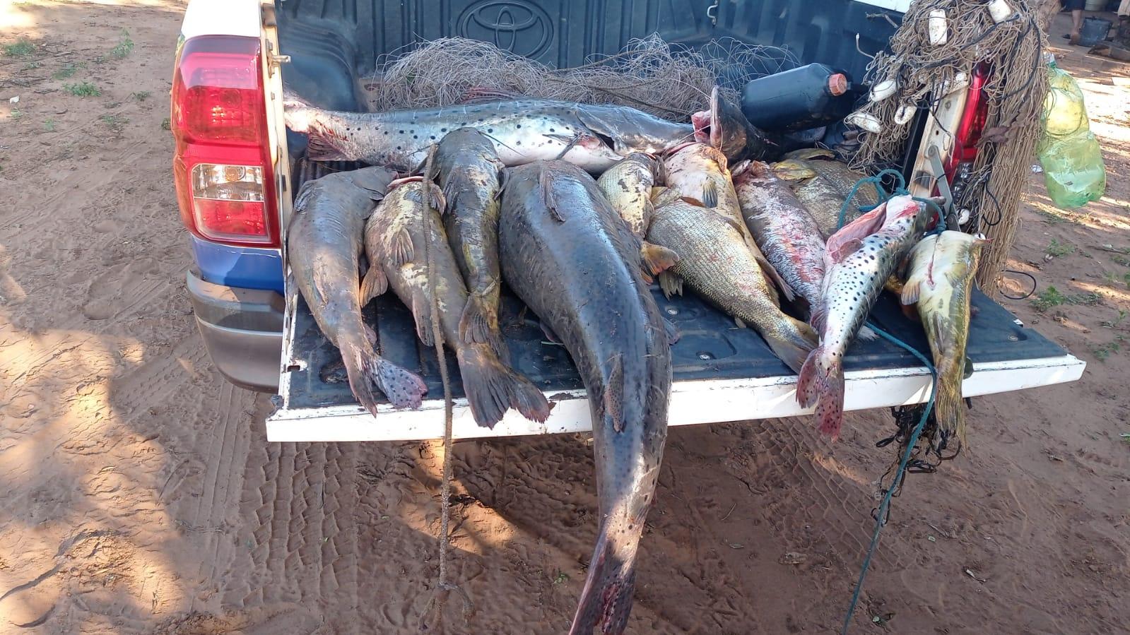 Operação Piracema: ações intensificadas e resultados significativos contra a pesca predatória. Operação Piracema: ações intensificadas e resultados significativos contra a pesca predatória.