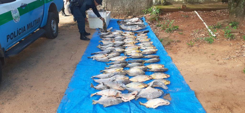 Operação Piracema: ações intensificadas e resultados significativos contra a pesca predatória. Operação Piracema: ações intensificadas e resultados significativos contra a pesca predatória.