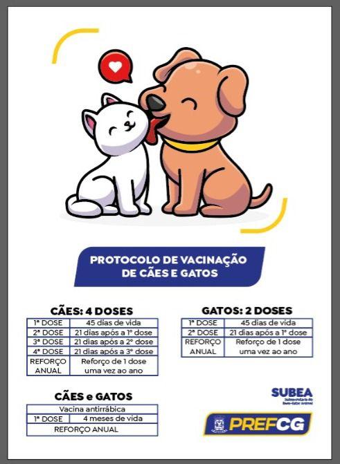 Subea destaca a importância de manter a vacinação dos pets em dia.