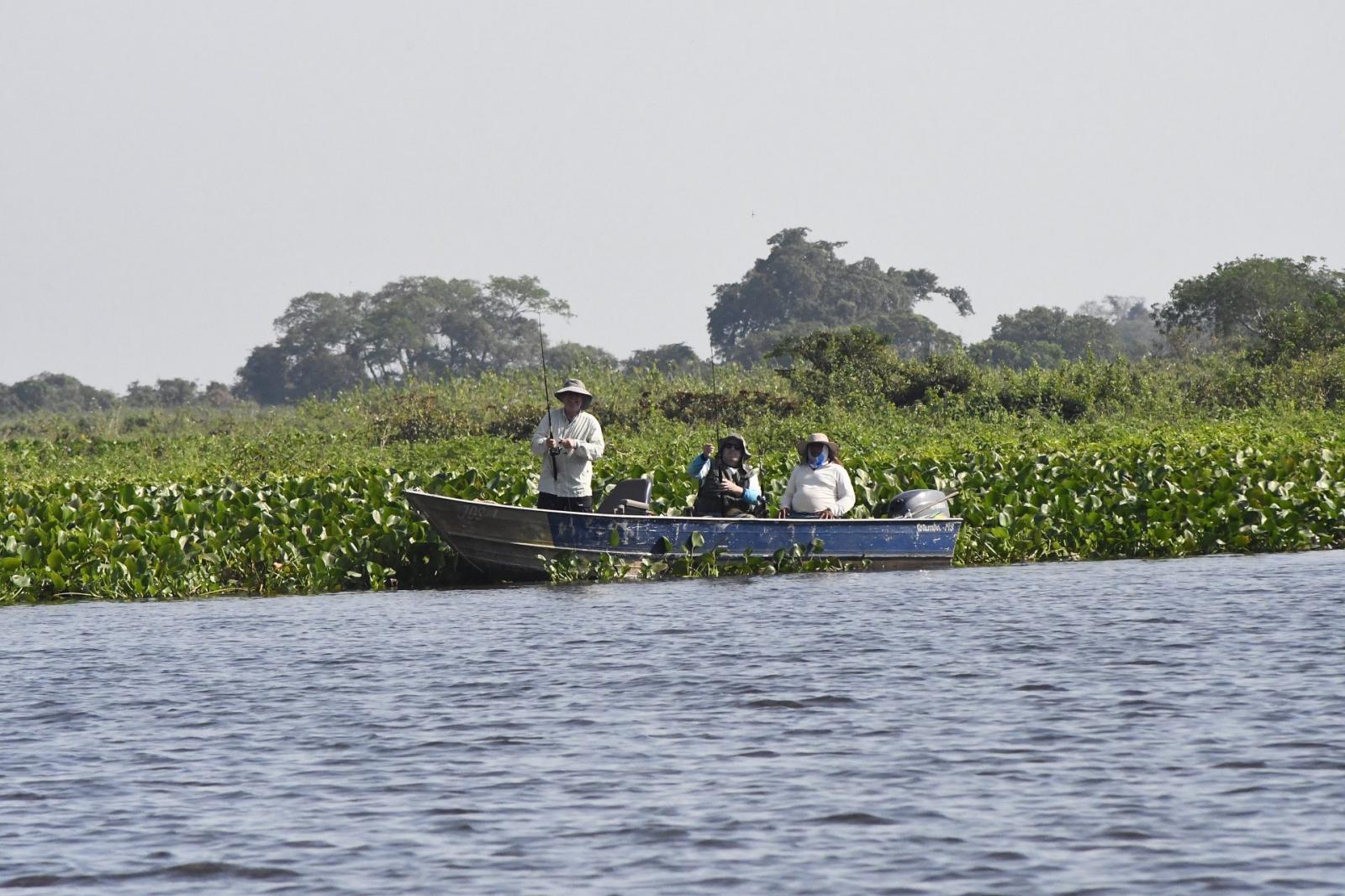 Com foco no meio ambiente e geração de renda, Governo de MS aprova regimento interno do Conpesca. Com foco no meio ambiente e geração de renda, Governo de MS aprova regimento interno do Conpesca.