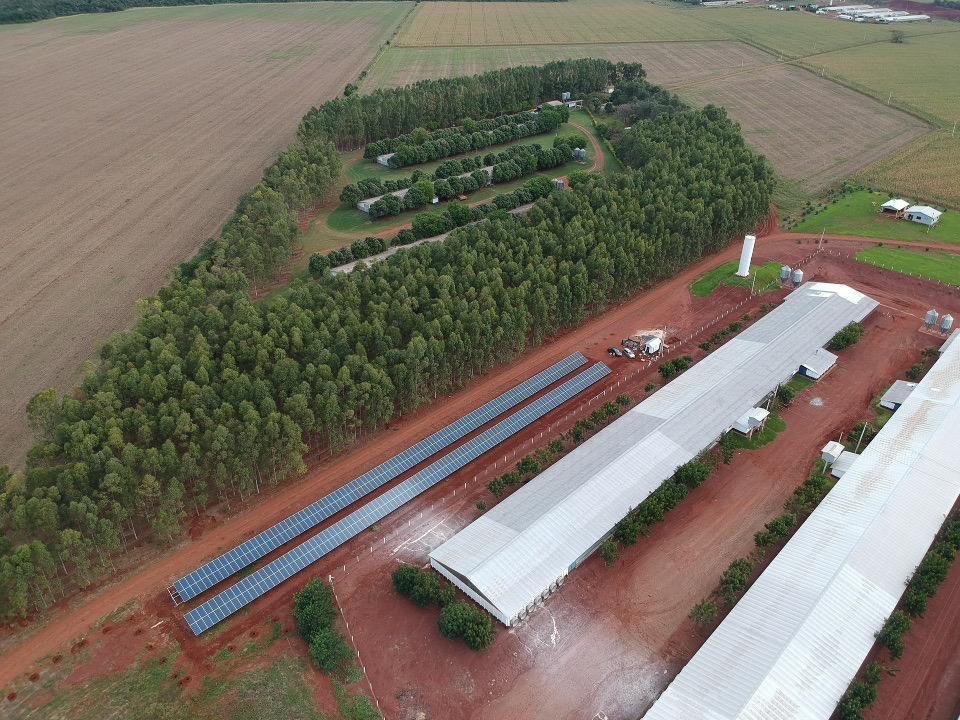 Frango Vida: incentivo a avicultura de MS garante mais de R$ 35 milhões aos produtores e ânimo ao setor. Frango Vida: incentivo a avicultura de MS garante mais de R$ 35 milhões aos produtores e ânimo ao setor.