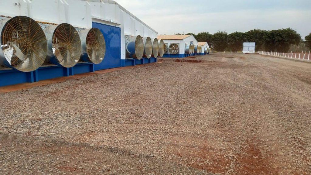 Frango Vida: incentivo a avicultura de MS garante mais de R$ 35 milhões aos produtores e ânimo ao setor. Frango Vida: incentivo a avicultura de MS garante mais de R$ 35 milhões aos produtores e ânimo ao setor.