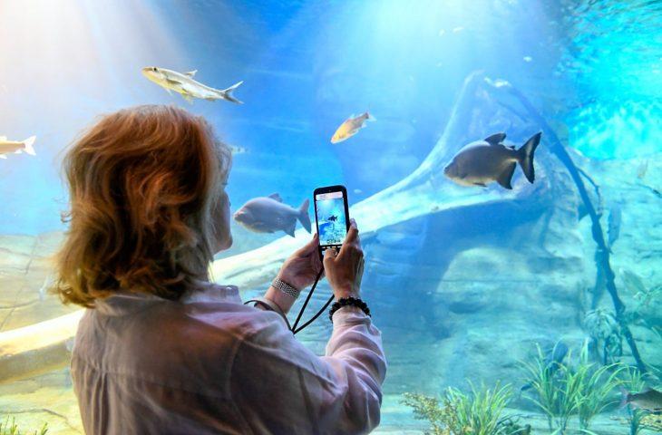 Bioparque Pantanal está fechado para manutenção e reabre dia 9 de janeiro.  Bioparque Pantanal está fechado para manutenção e reabre dia 9 de janeiro.