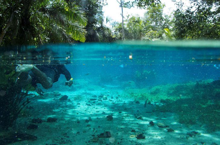 Com investimentos do Governo de MS, Bonito registra recorde de turistas com mais de 313 mil visitantes. Com investimentos do Governo de MS, Bonito registra recorde de turistas com mais de 313 mil visitantes.