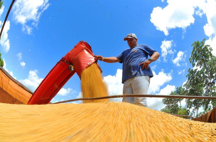 Exportações de MS batem recorde, crescem 28,1% e chegam a US$ 10,517 bilhões em 2023. Exportações de MS batem recorde, crescem 28,1% e chegam a US$ 10,517 bilhões em 2023.