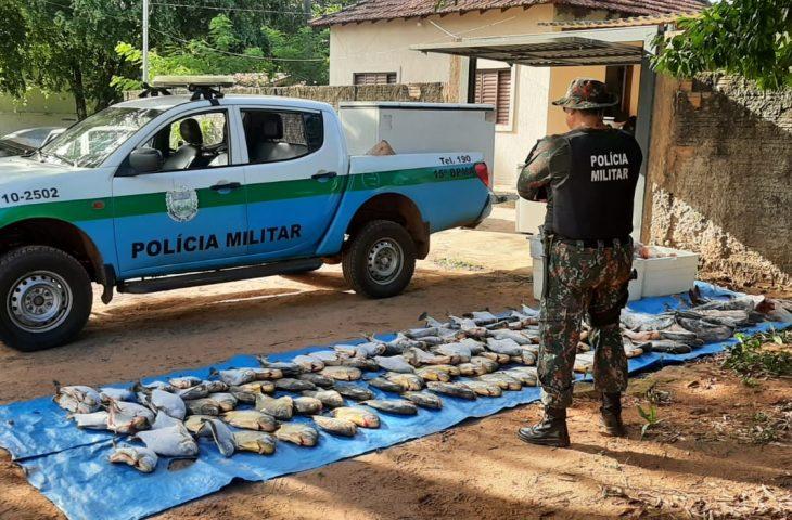 Operação Piracema: ações intensificadas e resultados significativos contra a pesca predatória. Operação Piracema: ações intensificadas e resultados significativos contra a pesca predatória.