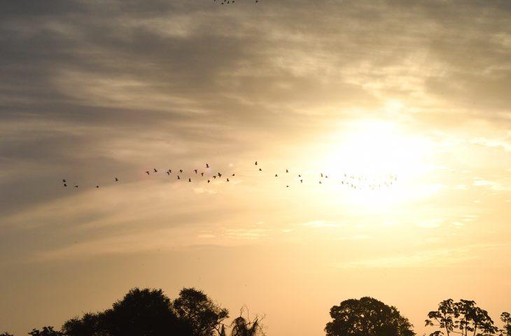 Previsão de sol e possibilidade de chuvas para este sábado em todo o Estado. Previsão de sol e possibilidade de chuvas para este sábado em todo o Estado.