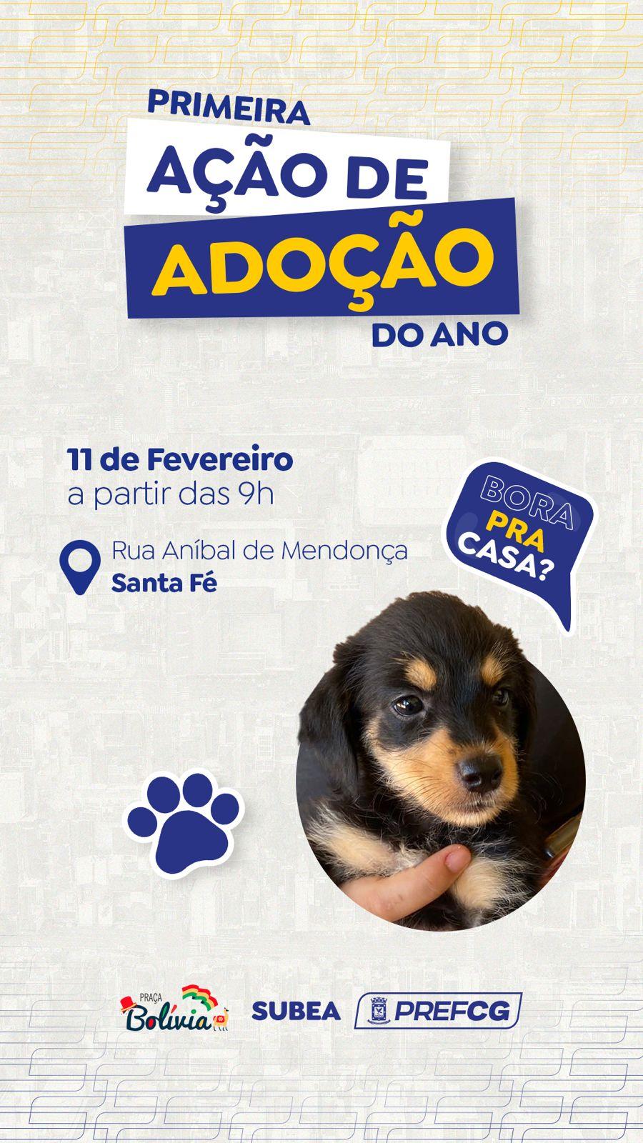 Subea realiza primeira Ação de Adoção de 2024 na Praça da Bolívia.