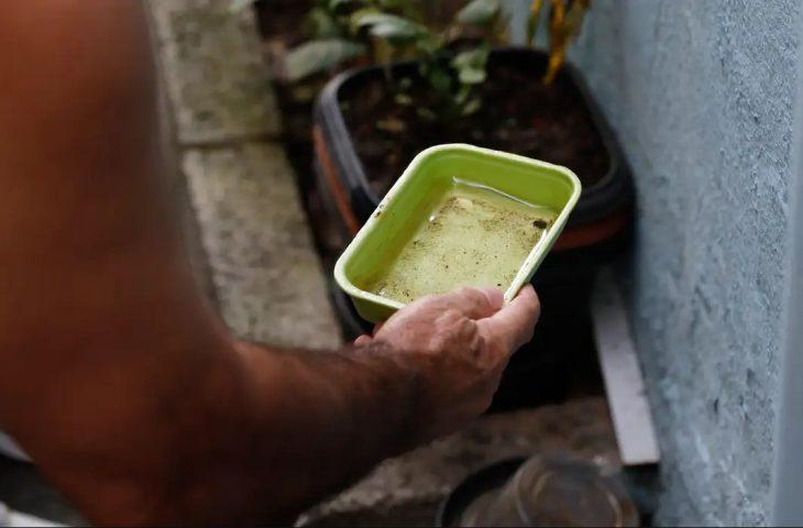 Dicas simples podem livrar sua casa dos focos da dengue e se prevenir contra doença. Dicas simples podem livrar sua casa dos focos da dengue e se prevenir contra doença.