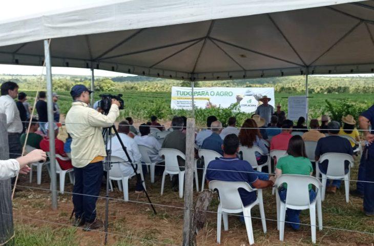 Governo incentiva o desenvolvimento da fruticultura para diversificar a base produtiva do Estado. Governo incentiva o desenvolvimento da fruticultura para diversificar a base produtiva do Estado.