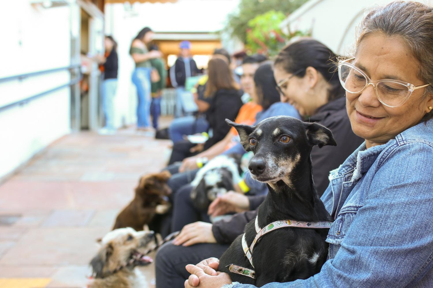 Nódulos em pets não devem ser ignorados, destaca veterinário da Subea.