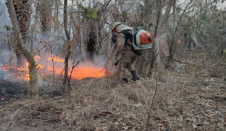 Semadesc e Comitê do Fogo realizam o 1º Seminário de Prevenção a Incêndios Florestais nos dias 21 e 22. Semadesc e Comitê do Fogo realizam o 1º Seminário de Prevenção a Incêndios Florestais nos dias 21 e 22.