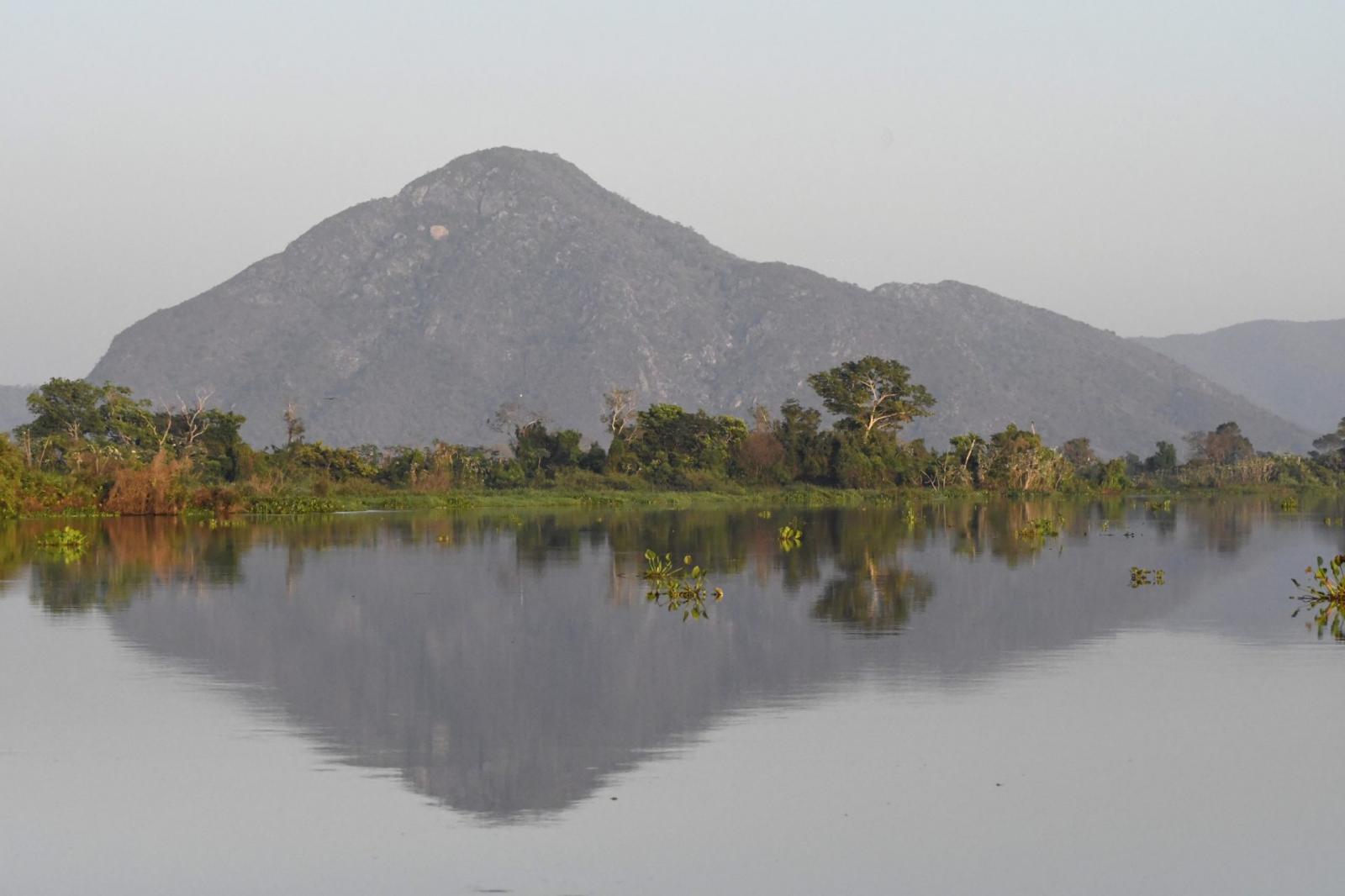 Com produção sustentável e proteção ambiental, Governo de MS atua para expandir atuação na União Europeia. Com produção sustentável e proteção ambiental, Governo de MS atua para expandir atuação na União Europeia.