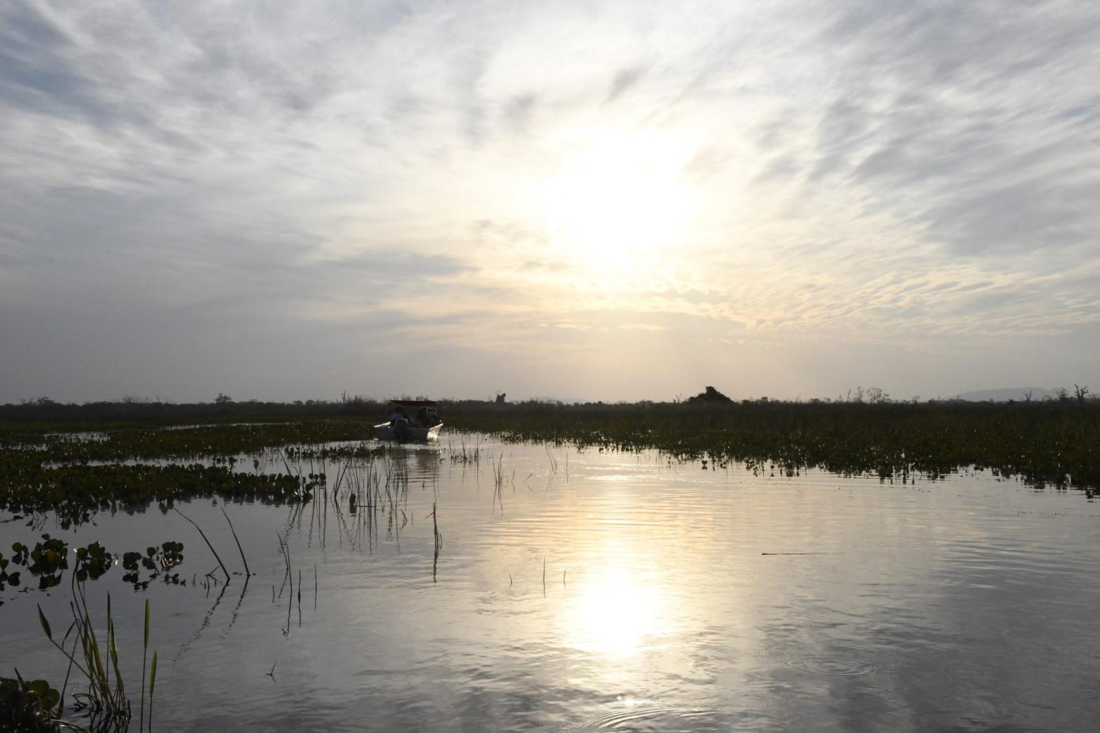Com produção sustentável e proteção ambiental, Governo de MS atua para expandir atuação na União Europeia. Com produção sustentável e proteção ambiental, Governo de MS atua para expandir atuação na União Europeia.